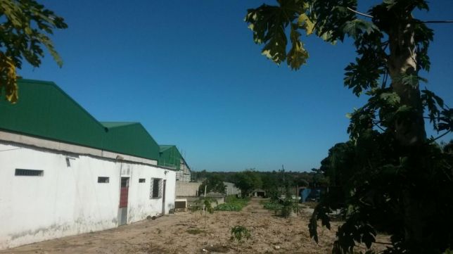 Vende-se uma propriedade a beira da estrada nacional Maputo - imagem 5