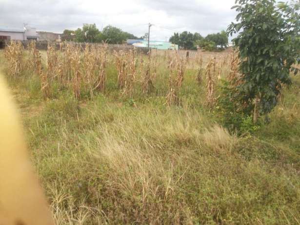 Vendo terrenos em guava 5 minutos da estrada Bairro do Jardim - imagem 4