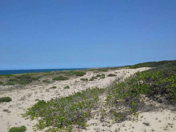 Terreno 50 × 50 perto da praia de Macaneta Maputo - imagem 1