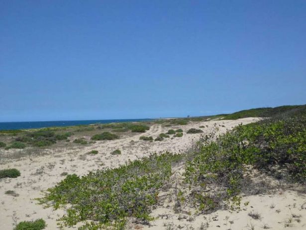 Terreno a venda 100 × 200 Macaneta a beira da praia Maputo - imagem 2