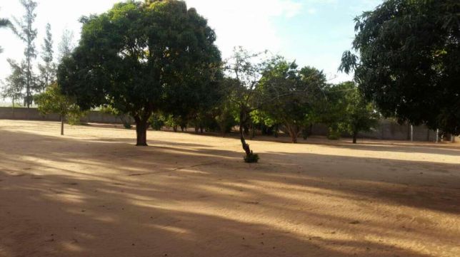 Quinta em malhapsene a venda Fomento - imagem 3