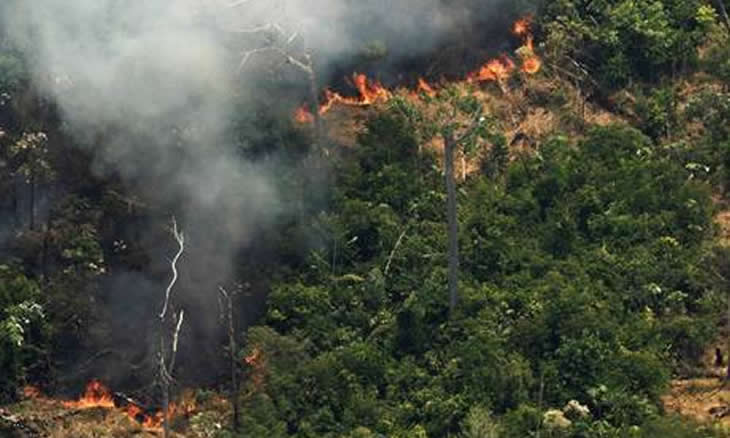 MP brasileiro pede actuação urgente para evitar ataques a indígenas na Amazónia