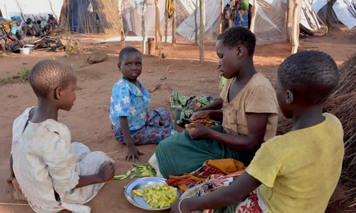 CTA e GAIN lançam picth para projectos de nutrição