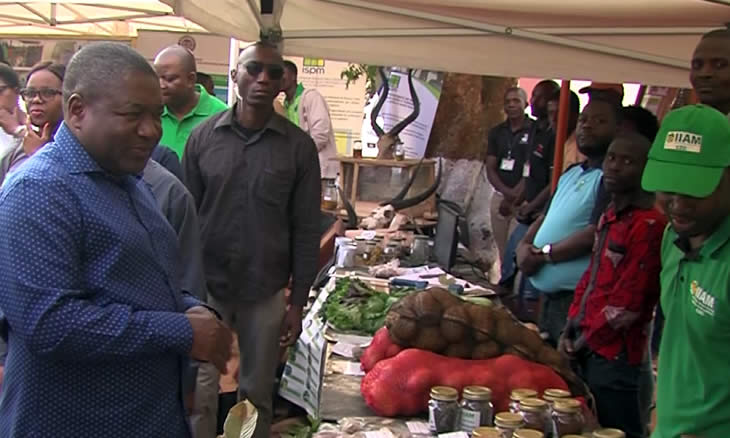 Filipe Nyusi apela ao envolvimento de todos na preservação da natureza