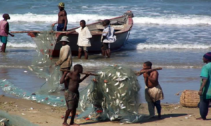 Pesca rendeu 370 milhões de meticais no ano passado