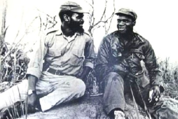 Mozambican War of Independence