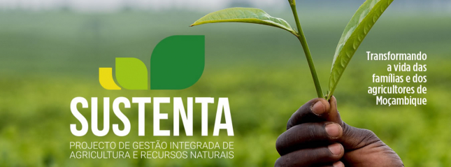 “SUSTENTA vem empoderar e profissionalizar produtores agrícolas ” -PR