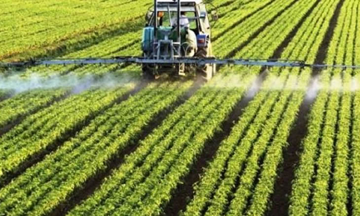 Ausência de infra-estruturas e financiamento dificultam agro-negócio